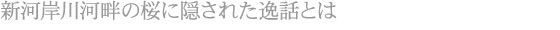 新河岸川河畔の桜に隠された逸話とは