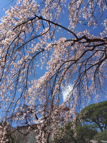 20150324news.jpg